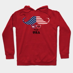 "Wear USA" with Korean letters Hoodie